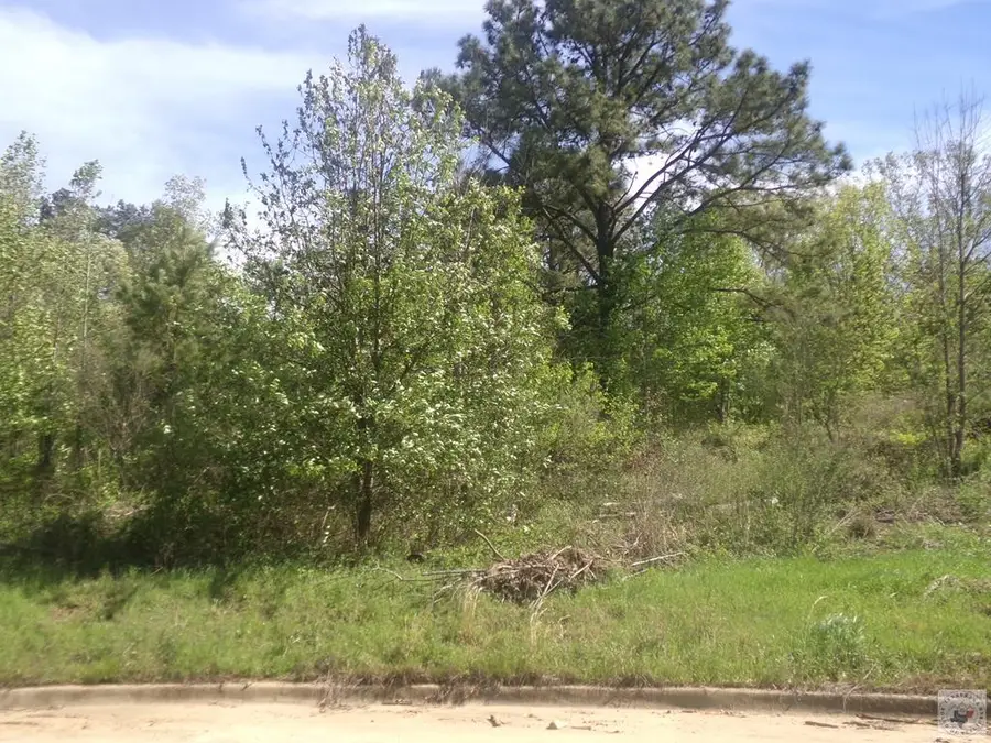 TBD Treasure Hill, Texarkana, TX 75503 - #2