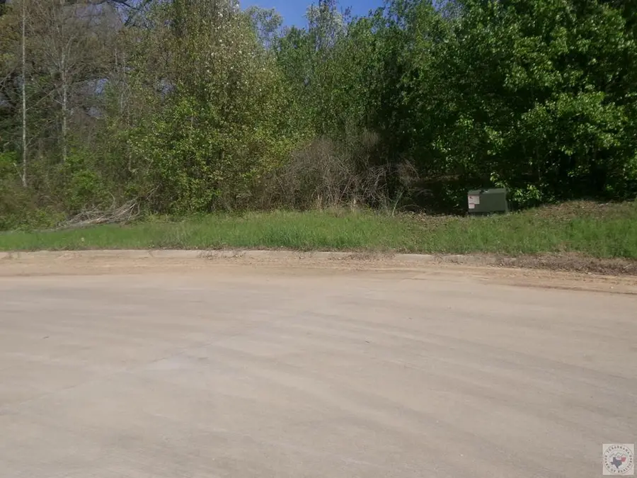 TBD Treasure Hill, Texarkana, TX 75503 - #3