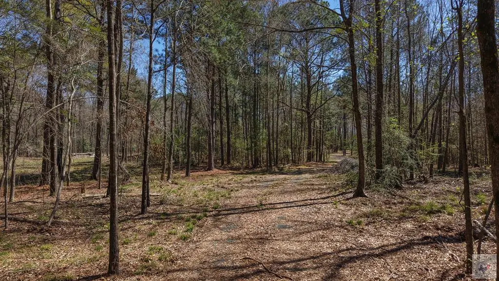 1618 Hwy 59, Linden, TX 75563 - #1