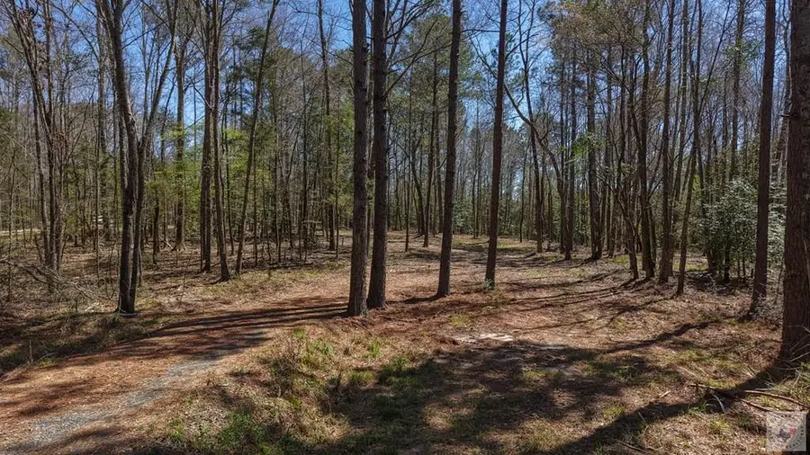 1618 Hwy 59, Linden, TX 75563 - #3