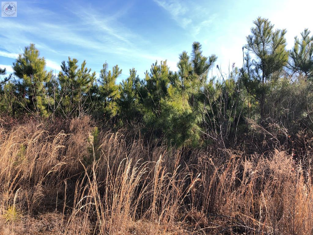 Address Withheld By Seller, Queen City, TX 75572 - #1