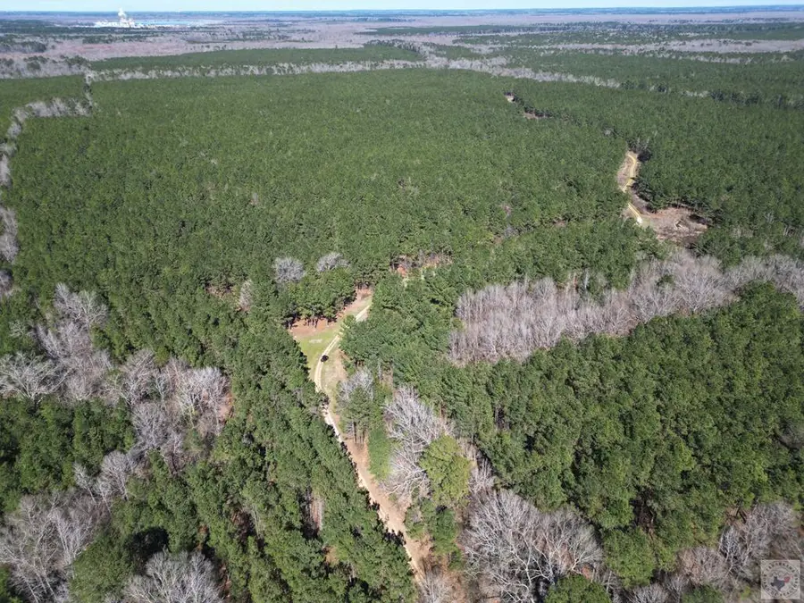 Address Withheld By Seller, Queen City, TX 75572 - #3