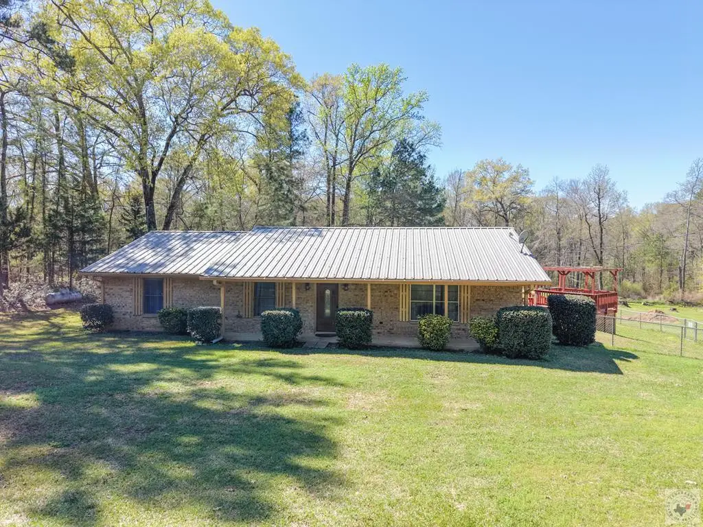 1501 Pine Wilderness, Queen City, TX 75572 - #1