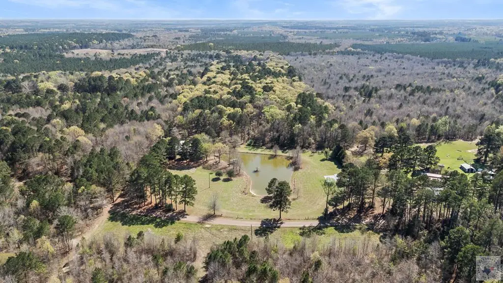 1564 County Road 4448, Bivins McLeod, TX 75555 - #1