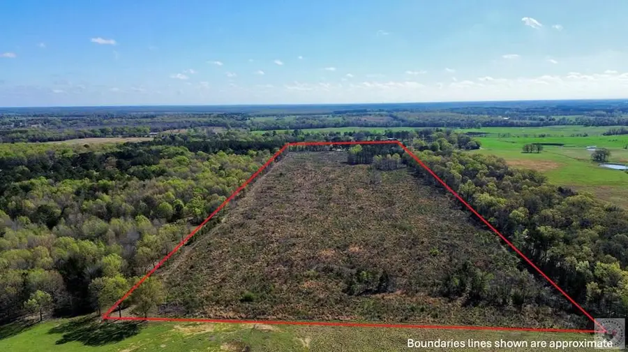 1916 County Road 4241, Dalby Springs Simms, TX 75559 - #3