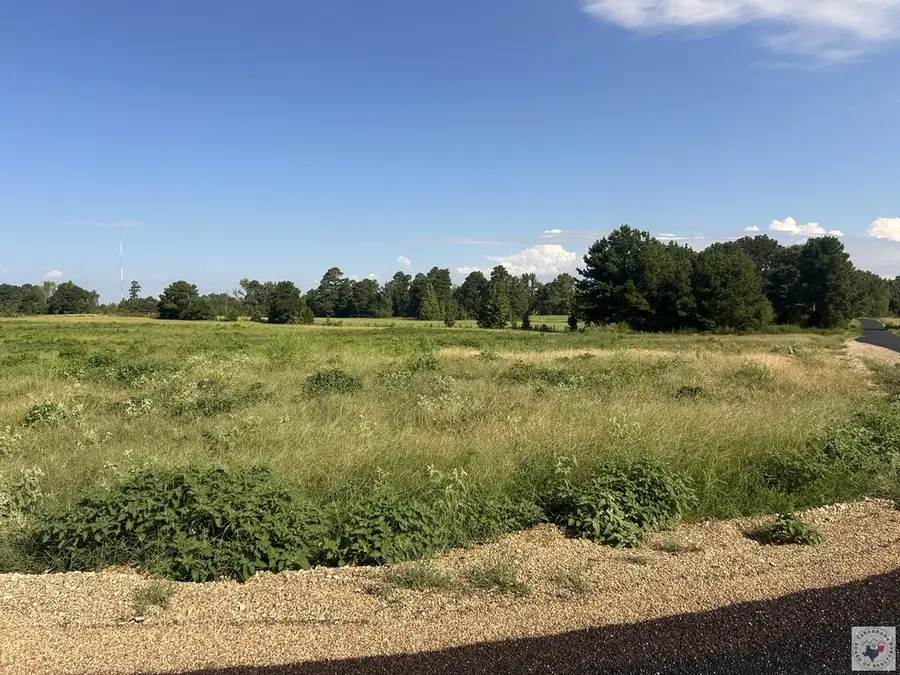 TBD Miller County 529 (lot 15), Fouke, AR 71837 - #2