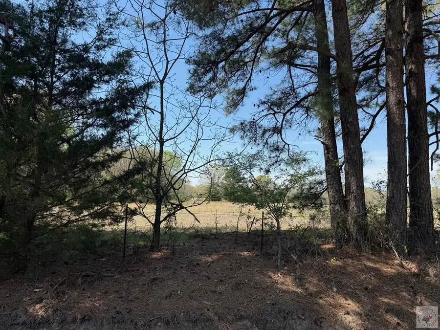 0 County Road 4310, Avery, TX 75554 - #3