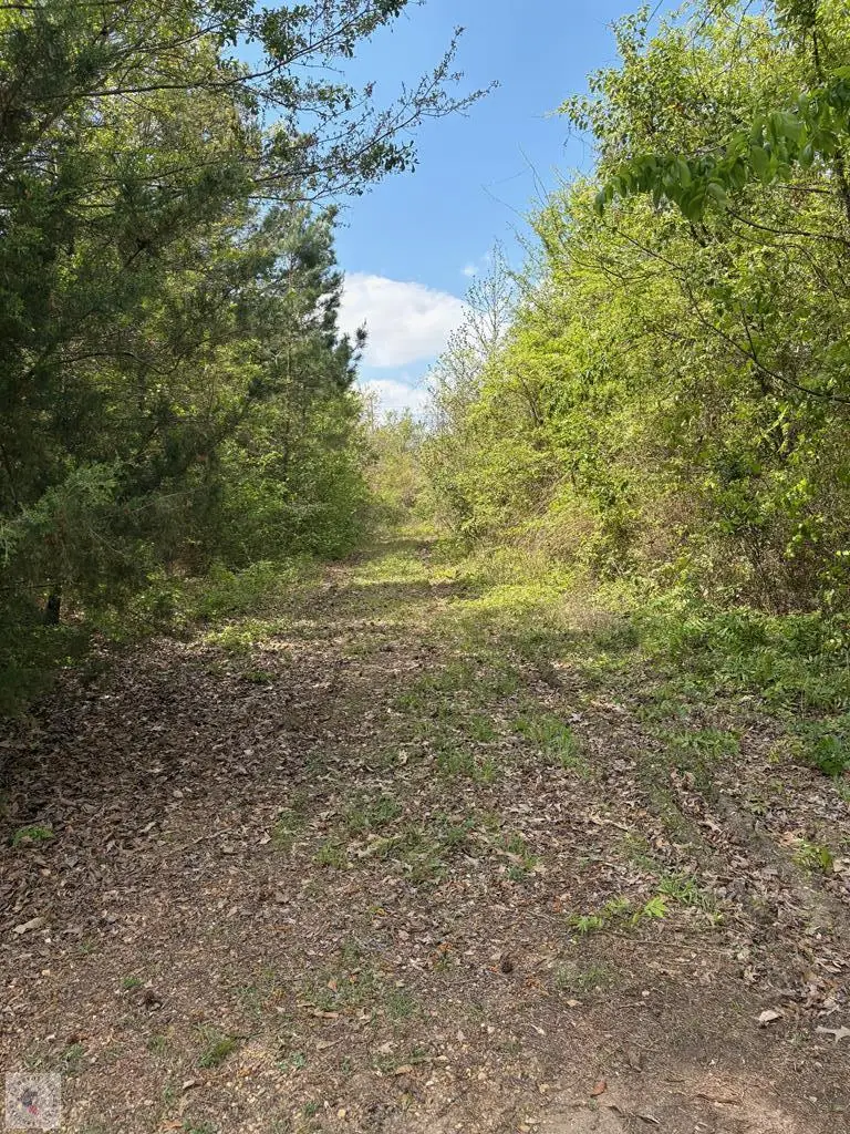 3800 Preston St, Texarkana, AR 71854 - #2