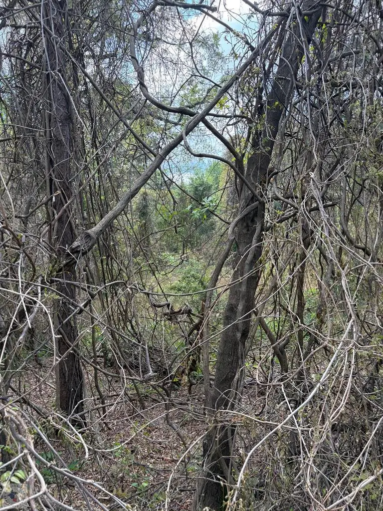 3800 Preston St, Texarkana, AR 71854 - #3