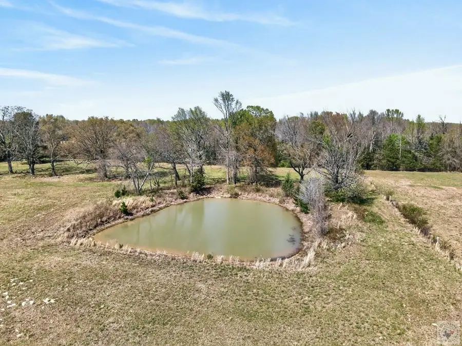 30 +/- ac Cr 4007, New Boston, TX 75570 - #2