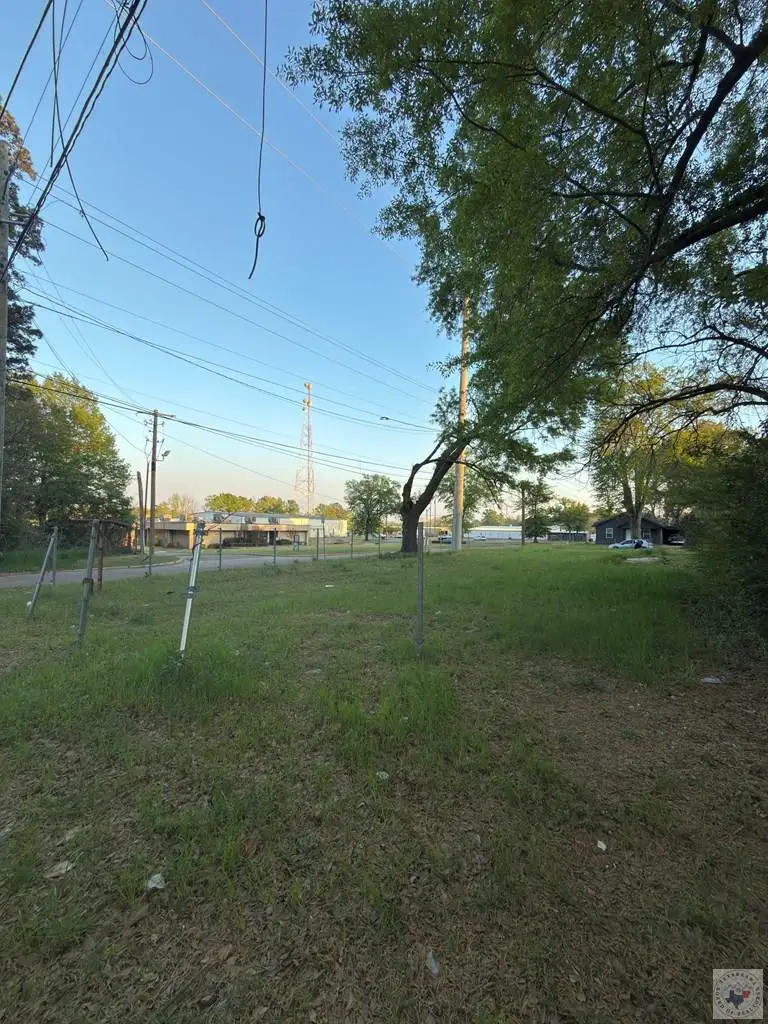 1602 W 16th St, Texarkana, TX 75501 - #3