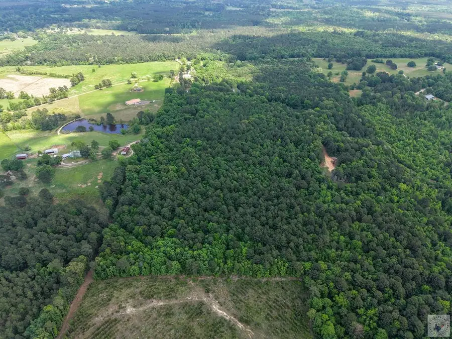 TBD Cr 4450, McLeod, TX 75555 - #3