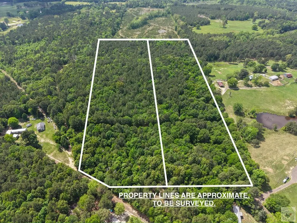 TBD Cr 4451, Bivins McLeod, TX 75555 - #1