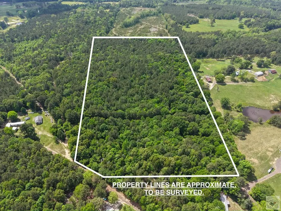 TBD Cr 4451, Bivins McLeod, TX 75555 - #3