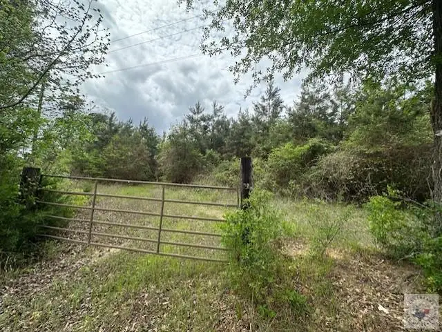 32.024 acres Cr 3660, Queen City, TX 75572 - #1