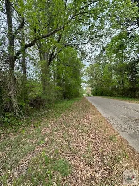 32.024 acres Cr 3660, Queen City, TX 75572 - #3