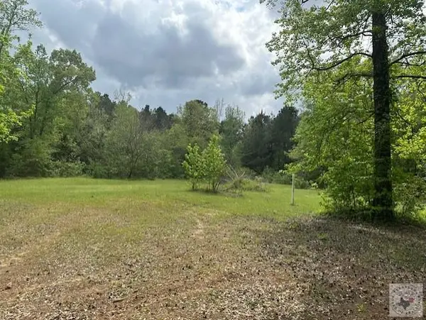 55 Cr 3669, Queen City, TX 75572