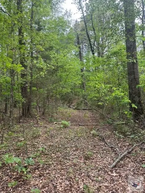 55 Cr 3669, Queen City, TX 75572 - #2