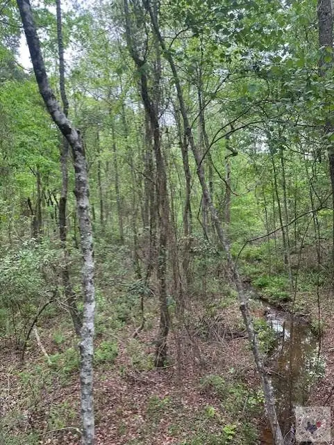 55 Cr 3669, Queen City, TX 75572 - #3