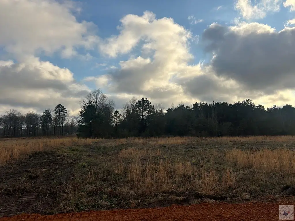 TBD Private Road 1108 (lot 23), Fouke, AR 71837 - #1
