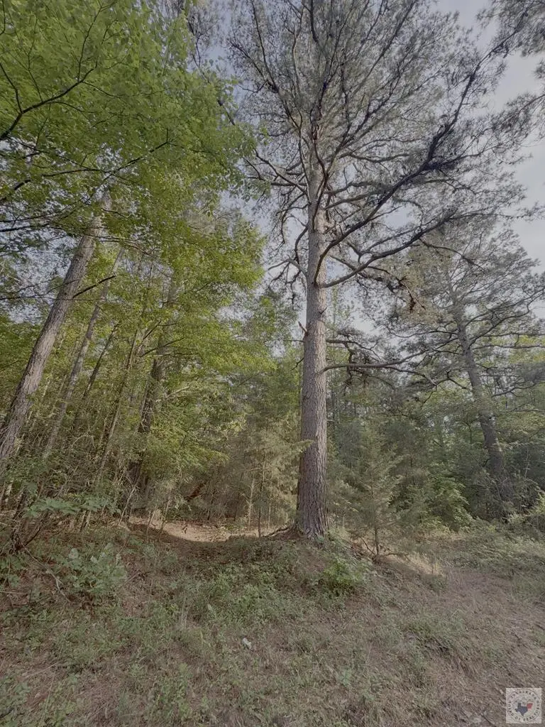 1885 Co Rd 2342, Marietta, TX 75566 - #2