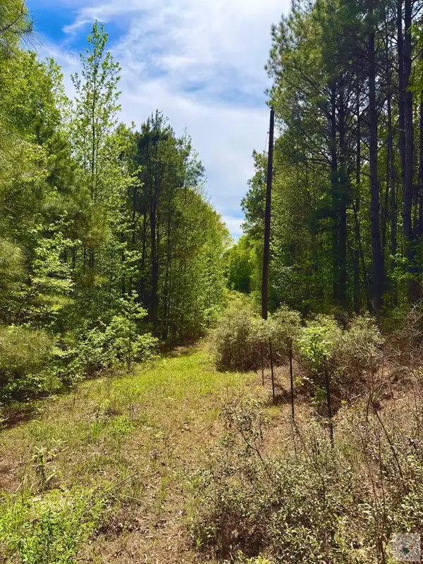 Fm 125 Fm 125, McLeod, TX 75565