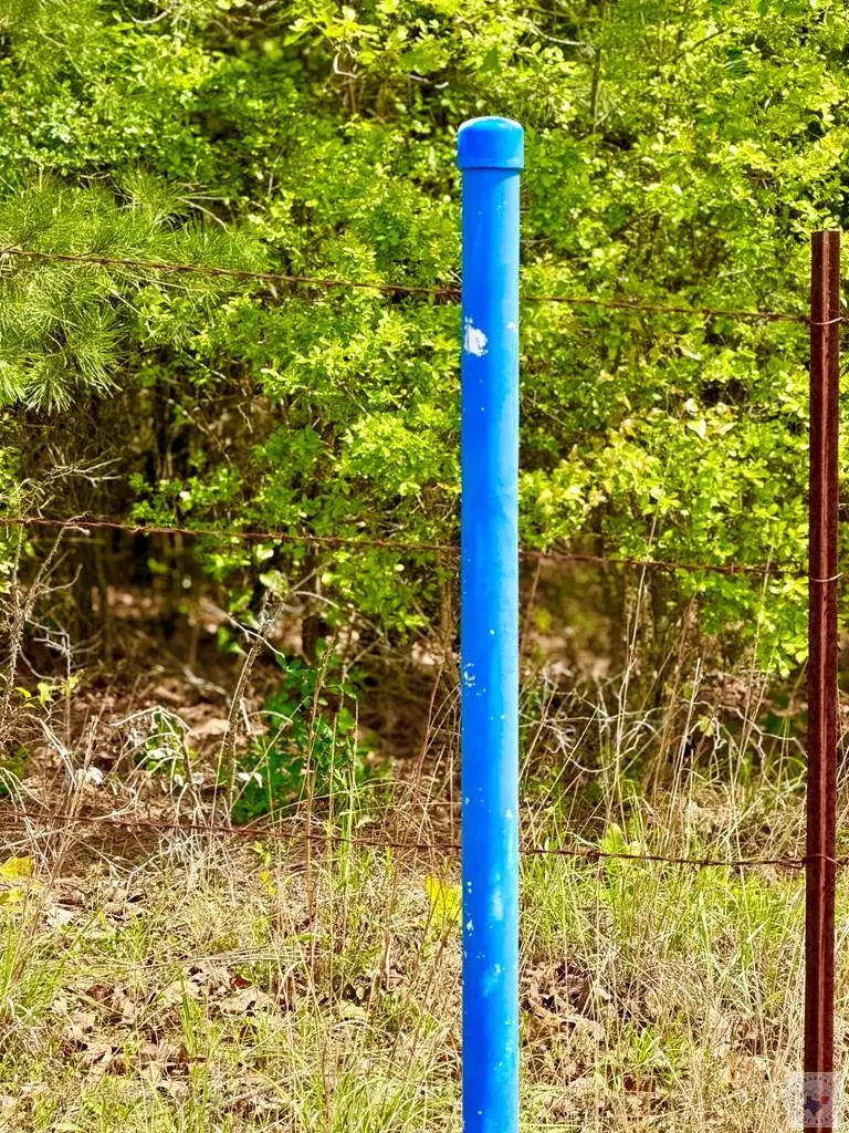 Fm 125 Fm 125, McLeod, TX 75565 - #2