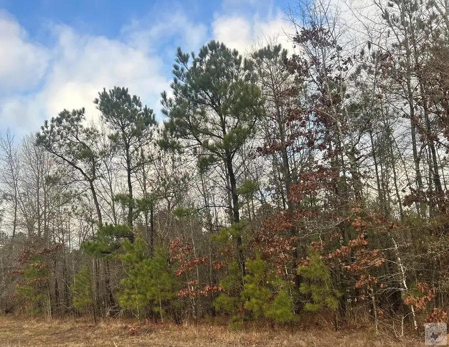 TBD Miller County 529 (lot 28), Fouke, AR 71837 - #3