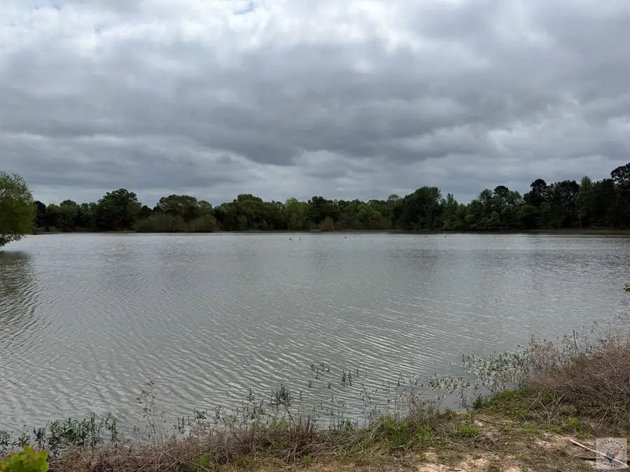 125 +/- ac E Wallace Dr, Texarkana, TX 75501 - #3