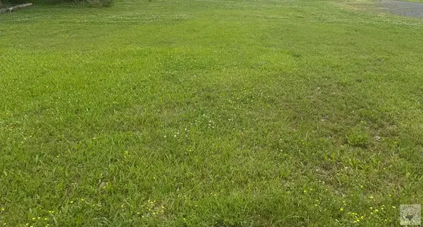 TBD Odom, Hooks, TX 75561