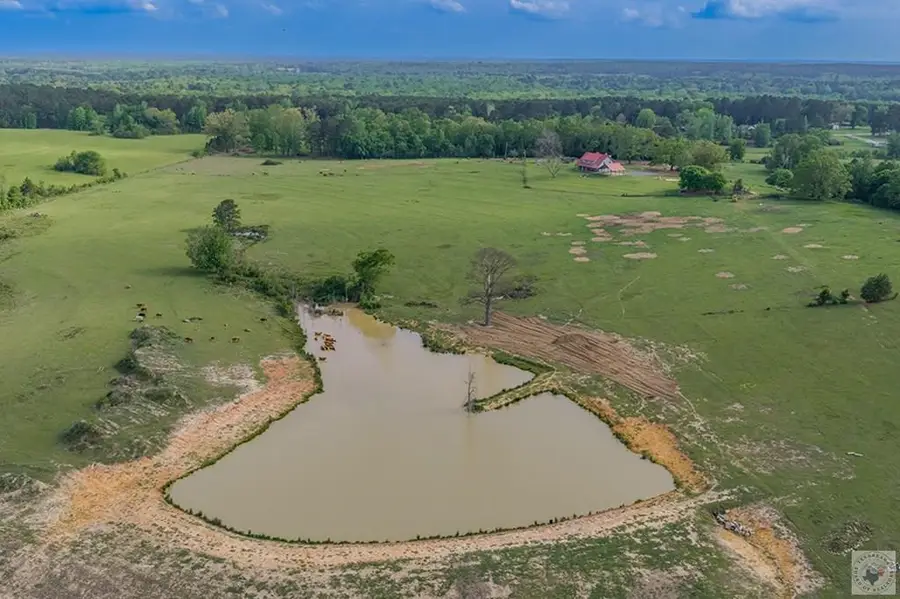 251 County Road 3212, Atlanta, TX 75501 - #3