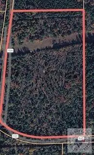 TBD 19.84 acres Country Rd 1124 & 1127, Linden, TX 75563 - #2