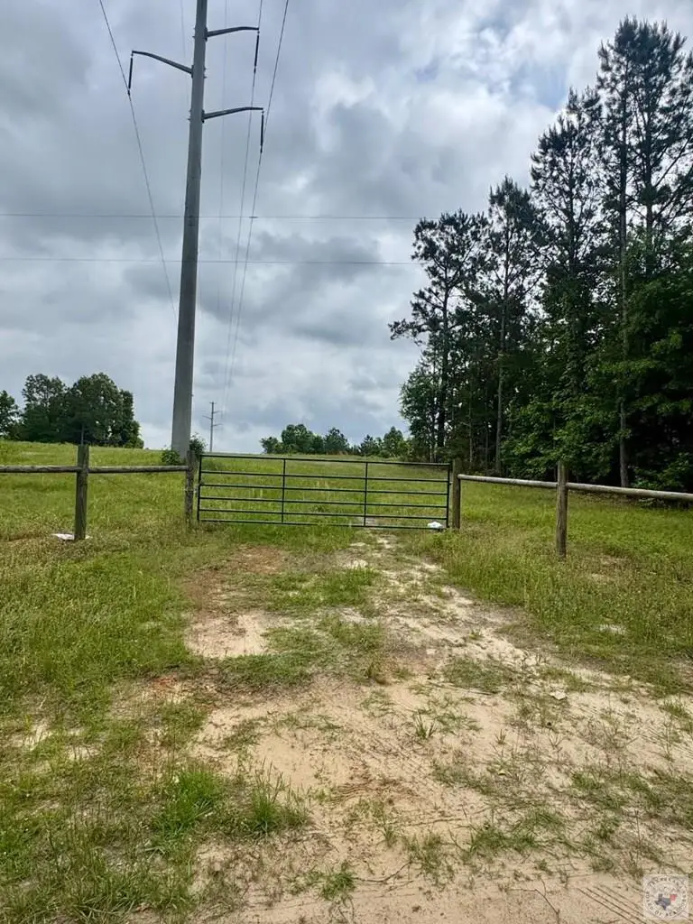 TBD 19.84 acres Country Rd 1124 & 1127, Linden, TX 75563 - #3