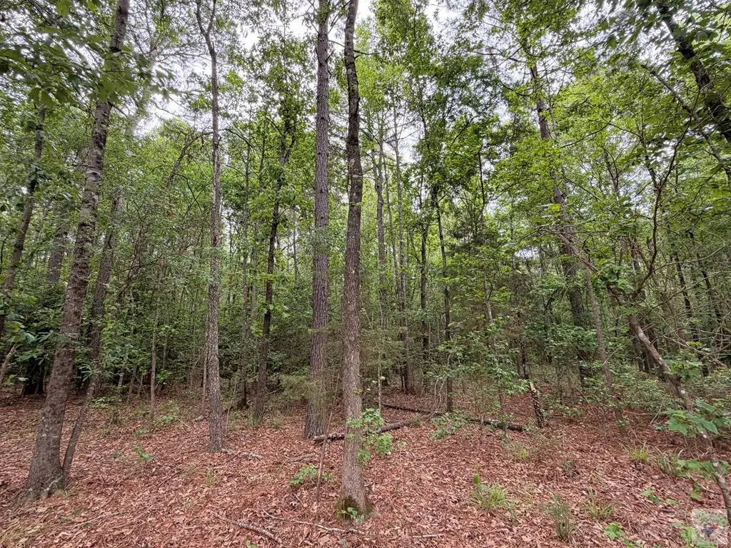 TBD Cr 1580 A, Avinger, TX 75630 - #1