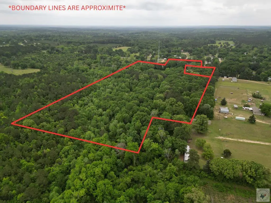 TBD Wall, Bivins, TX 75555 - #1