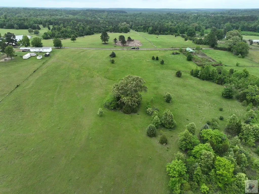 TBD Cr 1243, Linden, TX 75563 - #1