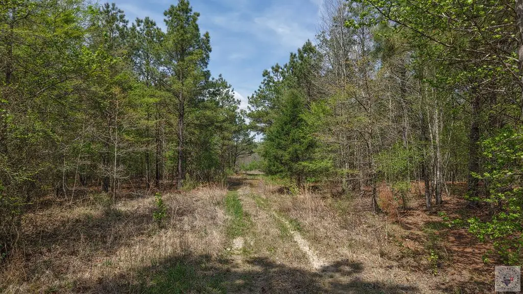TBD Fm 195, Manchester, TX 75412 - #1