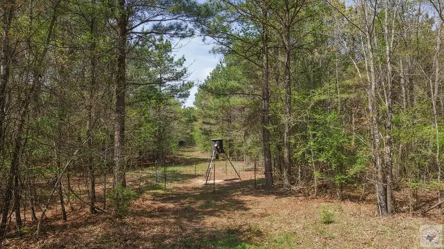 TBD Fm 195, Manchester, TX 75412 - #2