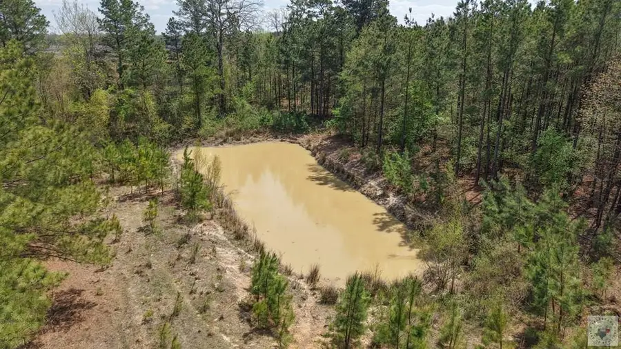 TBD Fm 195, Manchester, TX 75412 - #3