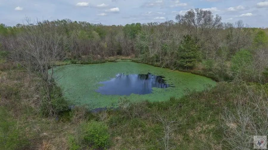 TBD Fm 195, Manchester, TX 75412 - #2