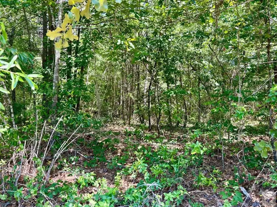TBD Cr 4814, Bloomburg, TX 75556 - #2
