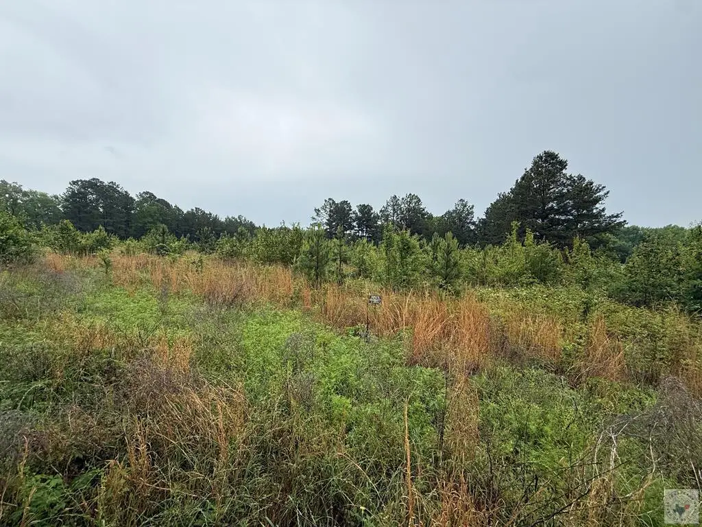 4808 Mcbride Road, Texarkana, AR 71854 - #1