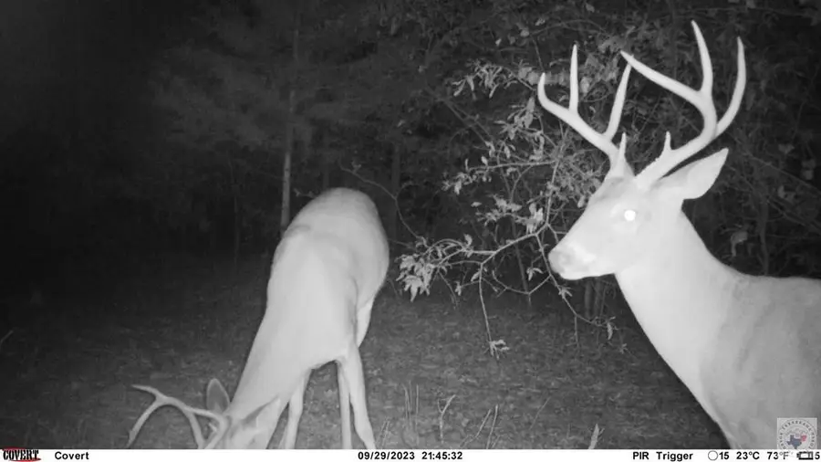 TBD Fm 114, De Kalb, TX 75559 - #2