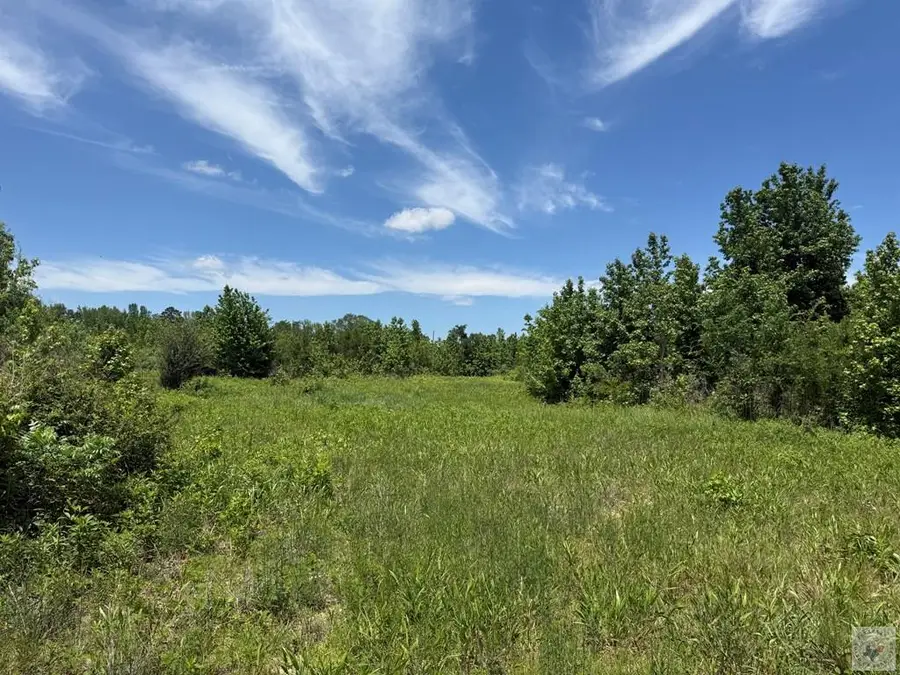 Tract 2 Fm 114, Dekalb, TX 75559 - #2