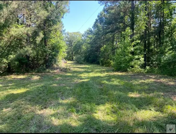 TBD Cr 3992, Bloomburg, TX 75556