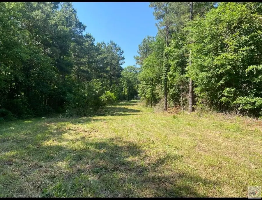 TBD Cr 3992, Bloomburg, TX 75556 - #3
