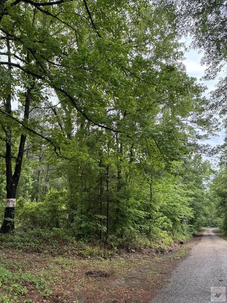 2096 Mc 157, Doddridge, AR 71834 - #2