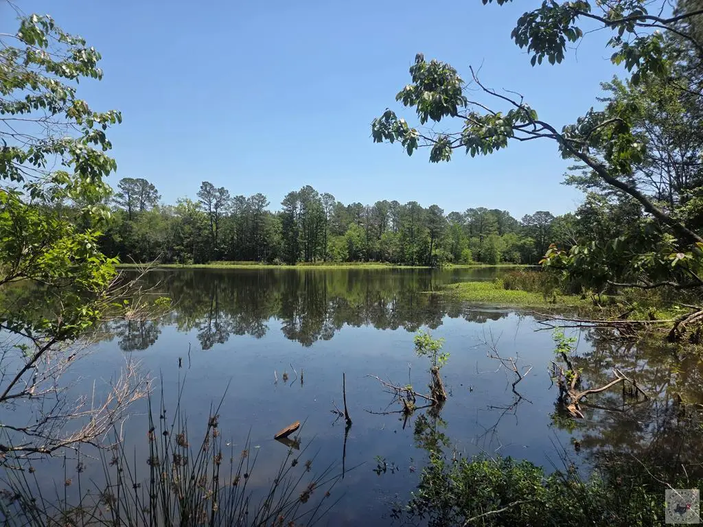 CR 2149 W Cr 2149, Redwater, TX 75573 - #1