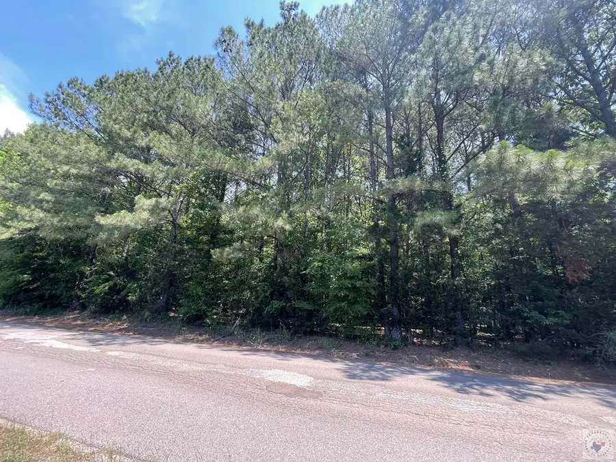 237 S Cottonshed Lane, Mineral Springs, AR 71851 - #2
