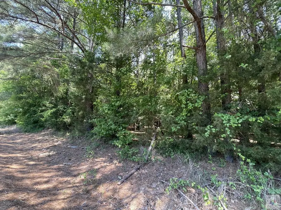 237 S Cottonshed Lane, Mineral Springs, AR 71851 - #3
